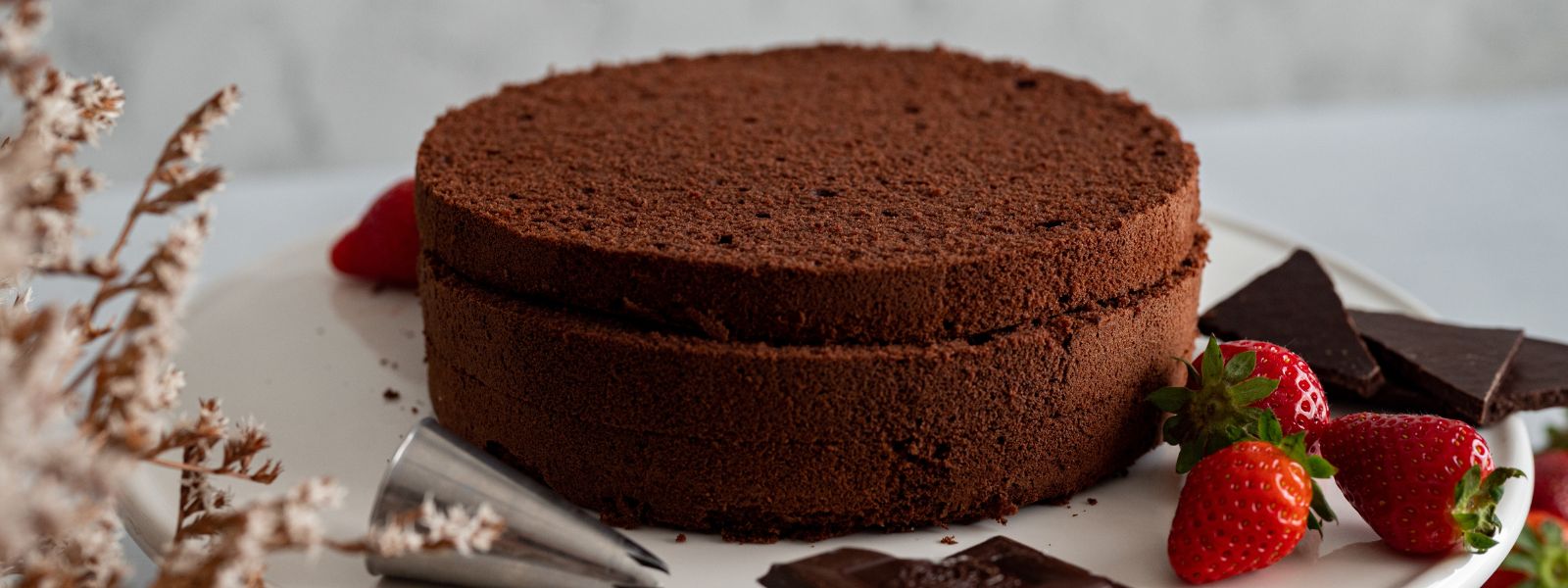 Čokoládový korpus